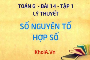 Số nguyên tố là gì? Hợp số là gì? cho ví dụ; Bảng số nguyên tố - Toán 6 bài 14 tập 1